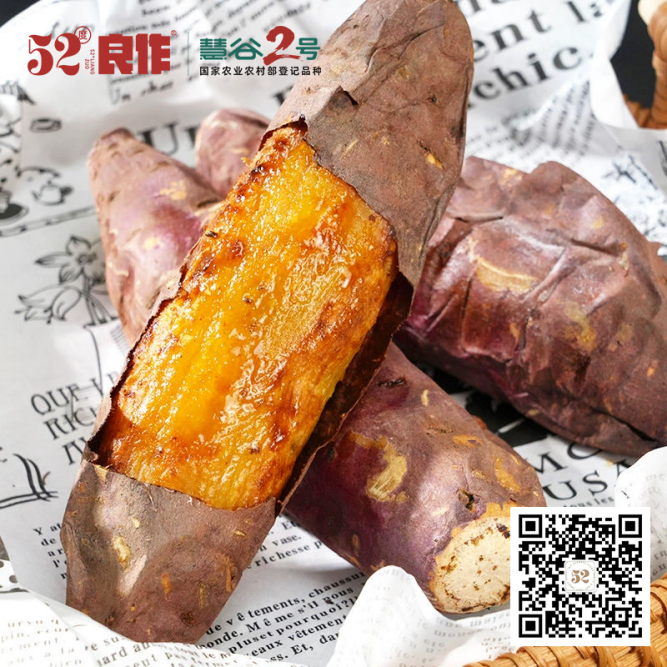 �Żݻ�������� -��ҳ