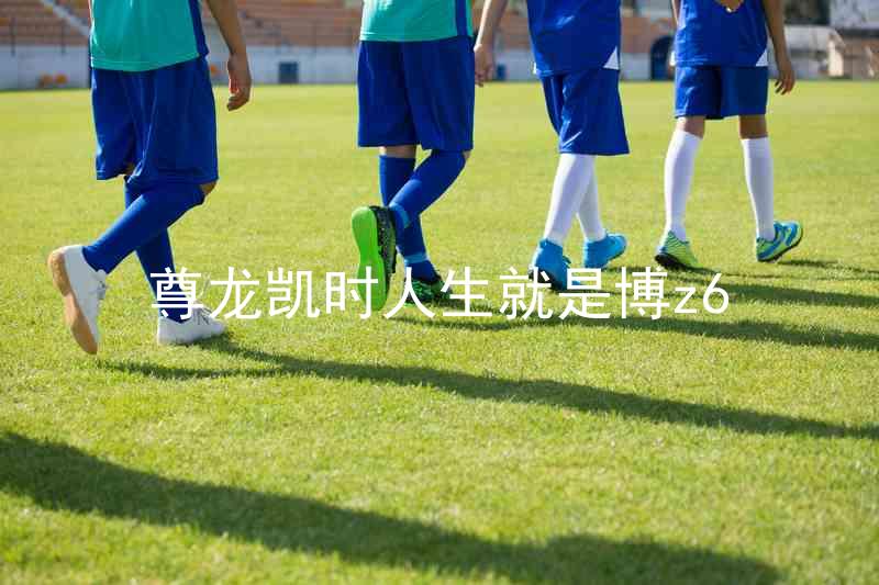 尊龙凯时人生就是博z6