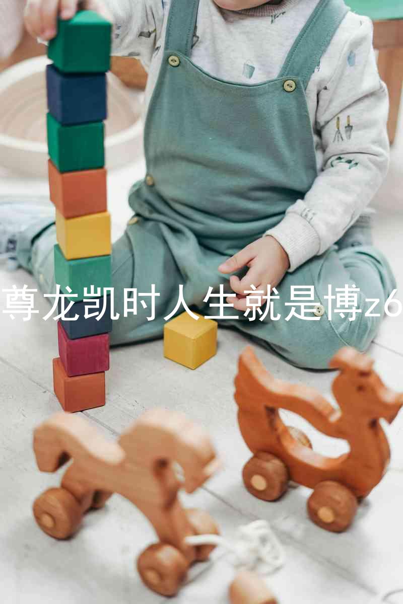 尊龙凯时人生就是博z6