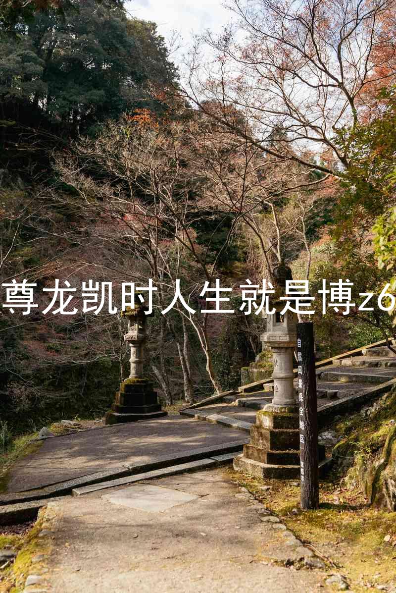 尊龙凯时人生就是博z6